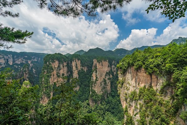 Découvrez le meilleur logiciel gestion de formation